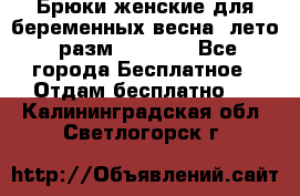 Брюки женские для беременных весна, лето (разм.50 XL). - Все города Бесплатное » Отдам бесплатно   . Калининградская обл.,Светлогорск г.